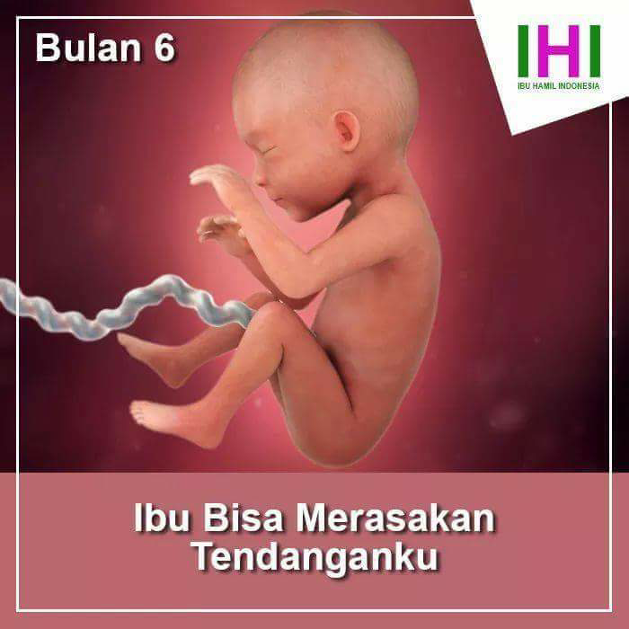 curhatan seorang bayi dalam kandungan seorang ibu