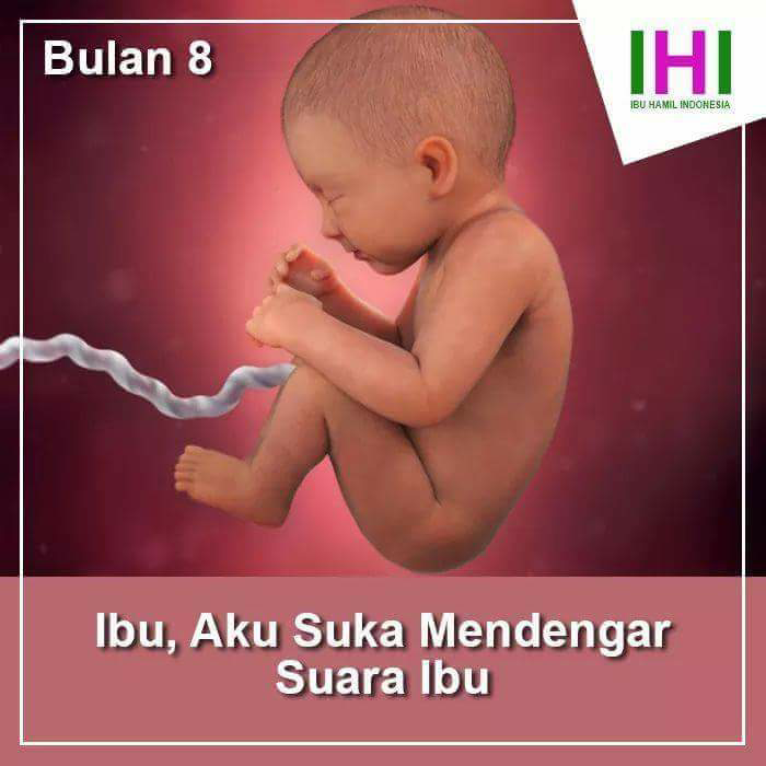 curhatan seorang bayi dalam kandungan seorang ibu