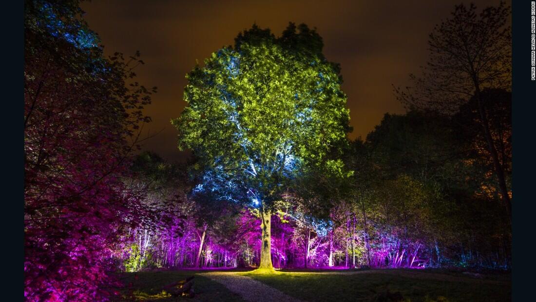 35 Foto dan Fakta Festival Cahaya di Seluruh Dunia