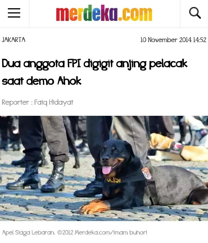 Dua anggota FPI digigit anjing pelacak saat demo Ahok