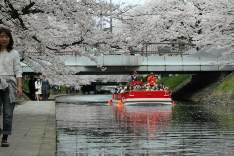 &#91;FR&#93; Menikmati indahnya Sakura bersama KASKUS-IN Japan 2016