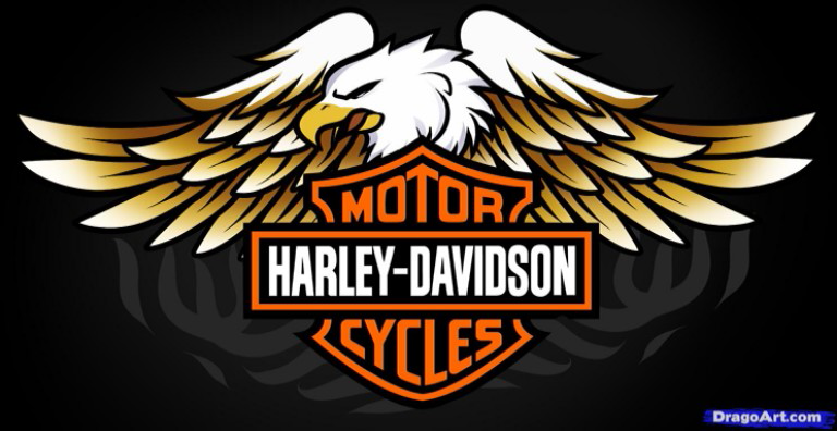 Ini dia gan, Yang Bikin Suara Harley Davidson Berdentum Khas