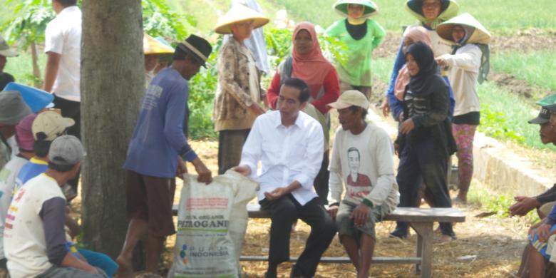 Jokowi Bawa Sekarung Daun Bawang Penuh Ulat dari Petani Brebes