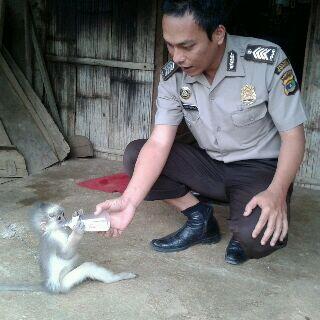 POLISI PECINTA SATWA