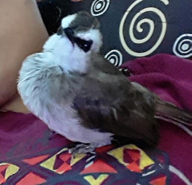 Trucukan Lover Page 15 Kaskus