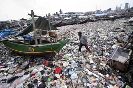 Ahok: Mana Ada Nelayan Tangkap Ikan di Teluk Jakarta yang Kotor ?