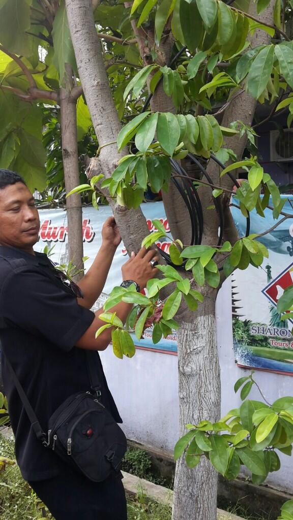 Playing Victim by MNC, Aparat Turun Tangan Lindungi Aset Negara #ShameOnMNC 