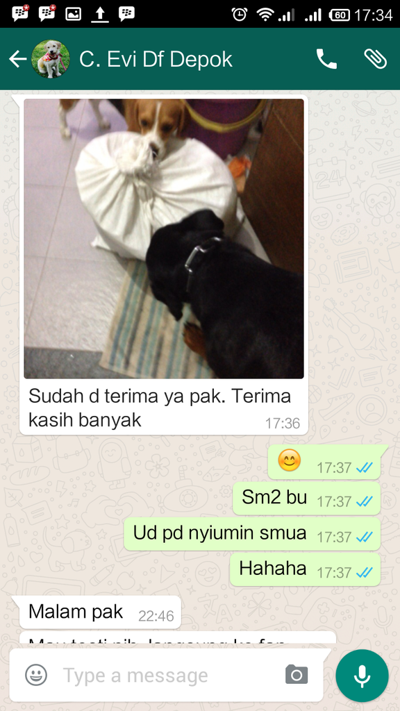 Testimonial Caesar Jac'O Kennel - Petshop - Services