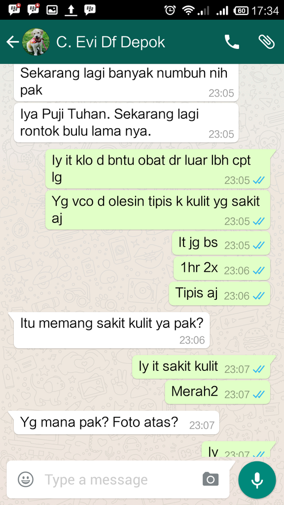 Testimonial Caesar Jac'O Kennel - Petshop - Services