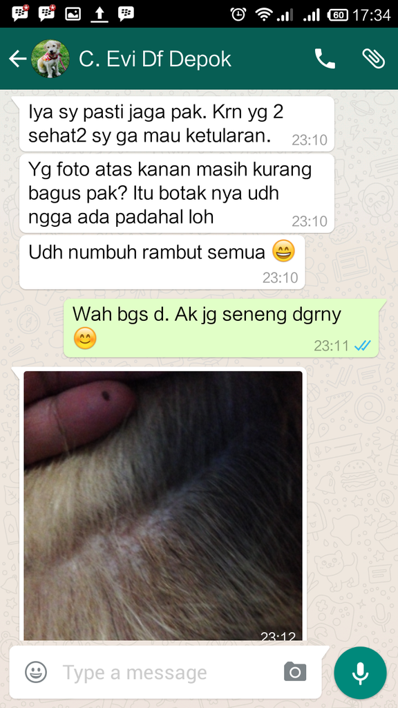 Testimonial Caesar Jac'O Kennel - Petshop - Services
