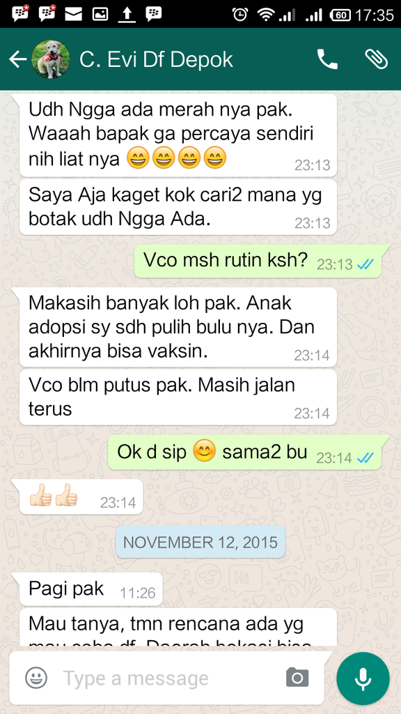 Testimonial Caesar Jac'O Kennel - Petshop - Services