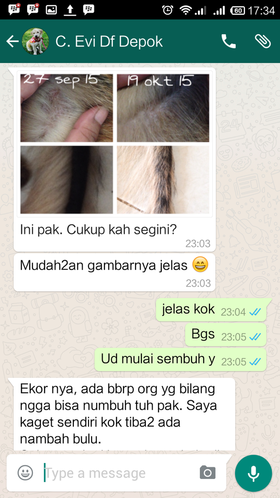 Testimonial Caesar Jac'O Kennel - Petshop - Services