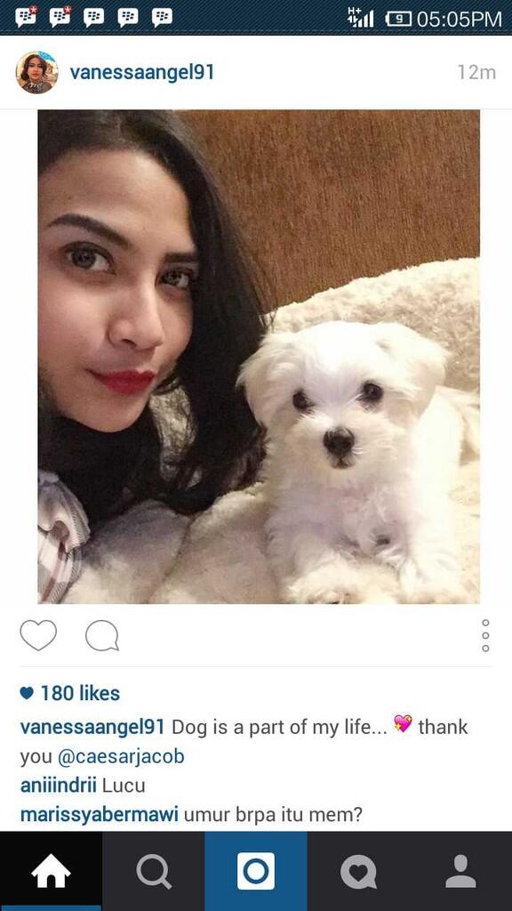 Testimonial Caesar Jac'O Kennel - Petshop - Services