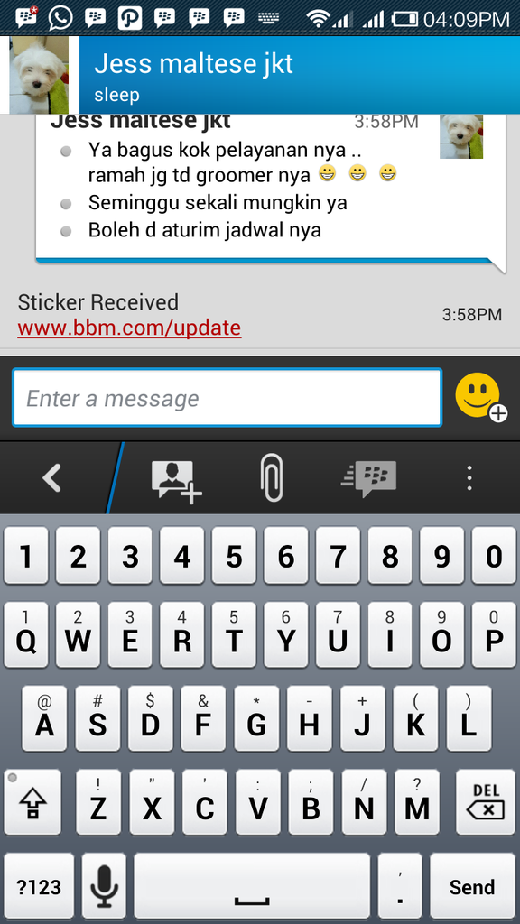 Testimonial Caesar Jac'O Kennel - Petshop - Services