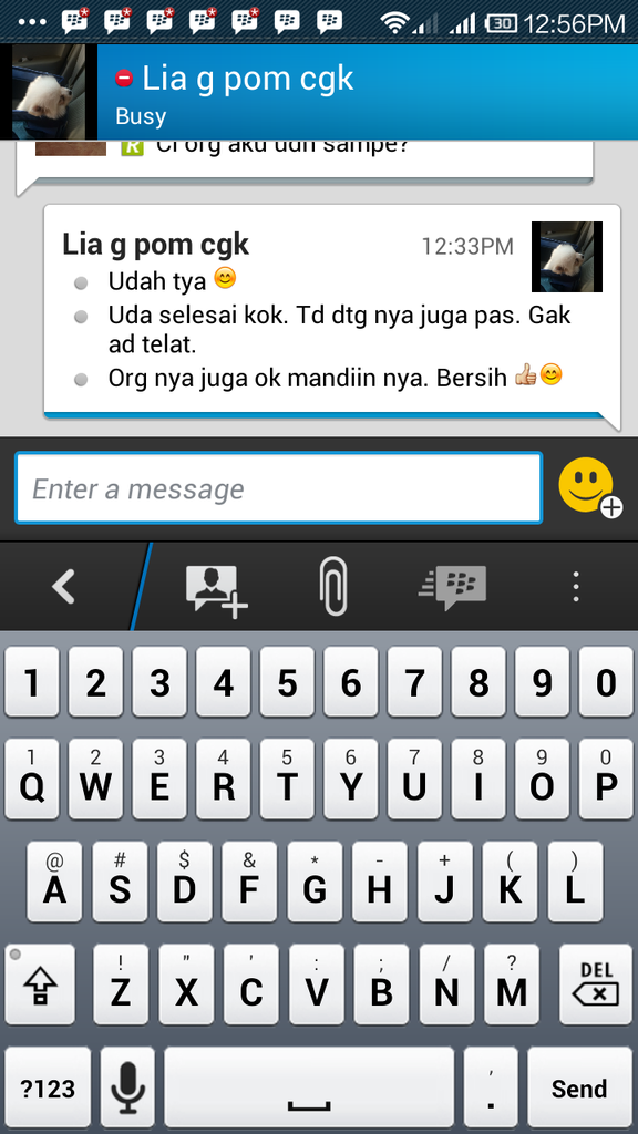Testimonial Caesar Jac'O Kennel - Petshop - Services