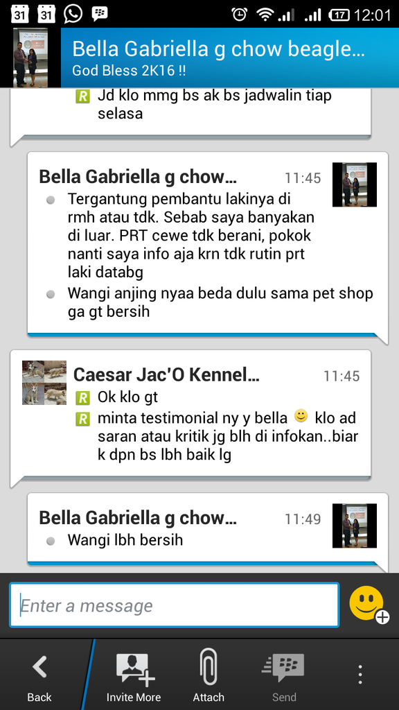 Testimonial Caesar Jac'O Kennel - Petshop - Services