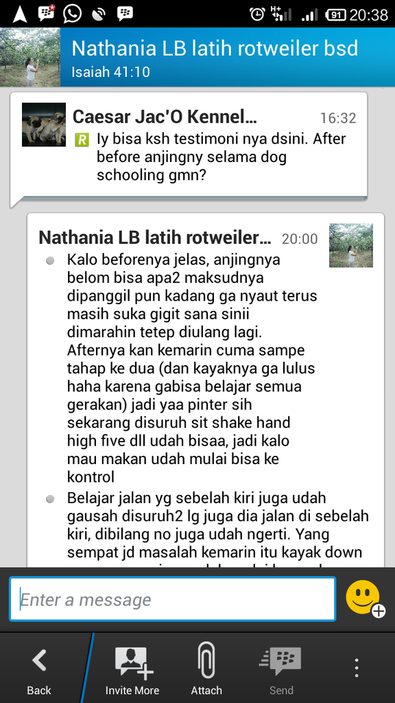 Testimonial Caesar Jac'O Kennel - Petshop - Services
