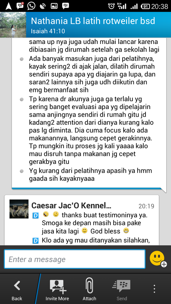 Testimonial Caesar Jac'O Kennel - Petshop - Services