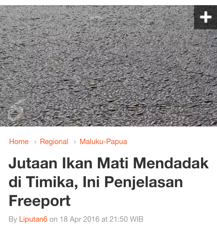 Jutaan Ikan Mati Mendadak di Timika, Ini Penjelasan Freeport