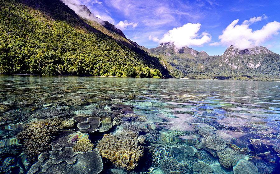 Pulau terbening di Indonesia Teluk Saleman, Pulau Seram MALUKU
