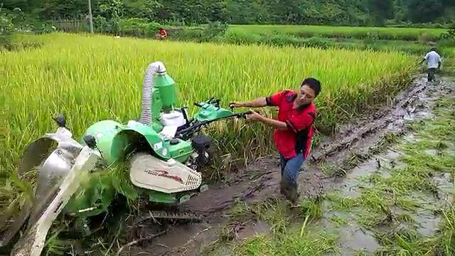 Petani Indonesia maju sejahtera dengan mesin pemanen 