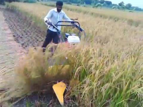 Petani Indonesia maju sejahtera dengan mesin pemanen 