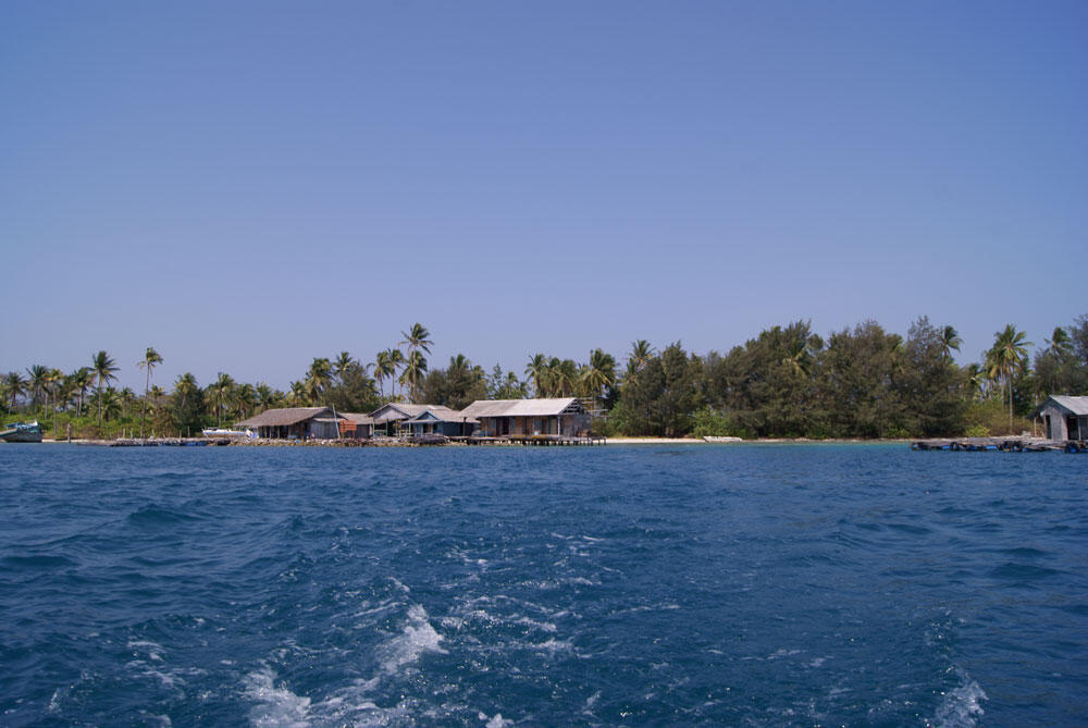 Pesona Wisata Pulau Karimun jawa