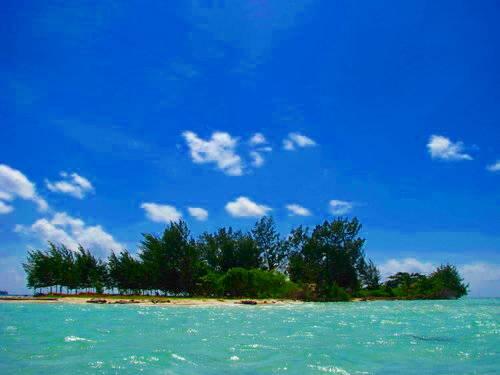 Pesona Wisata Pulau Karimun jawa