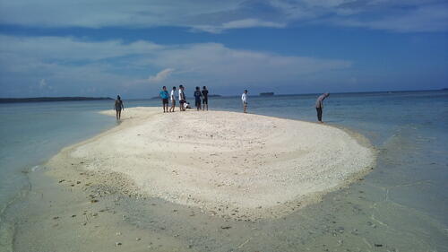 Pesona Wisata Pulau Karimun jawa