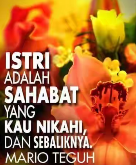 Jadi raja dan ratu sehari