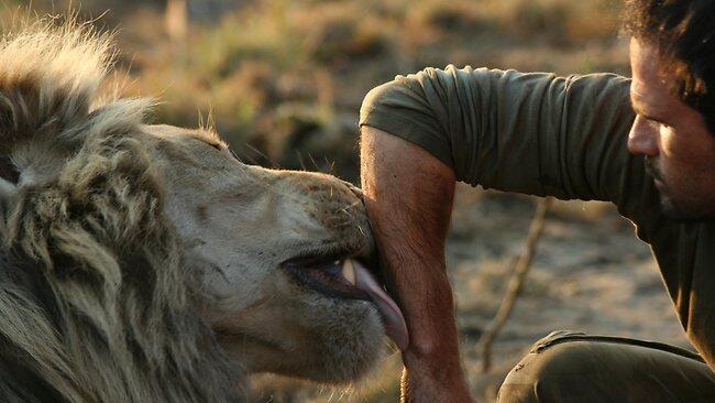 Kevin Richardson - Sang Penakluk Singa Buas - PIC