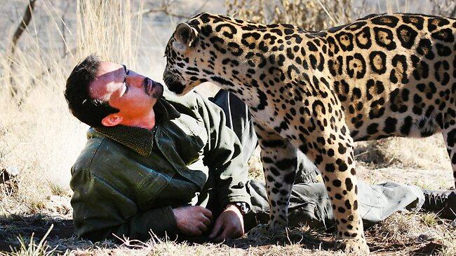 Kevin Richardson - Sang Penakluk Singa Buas - PIC