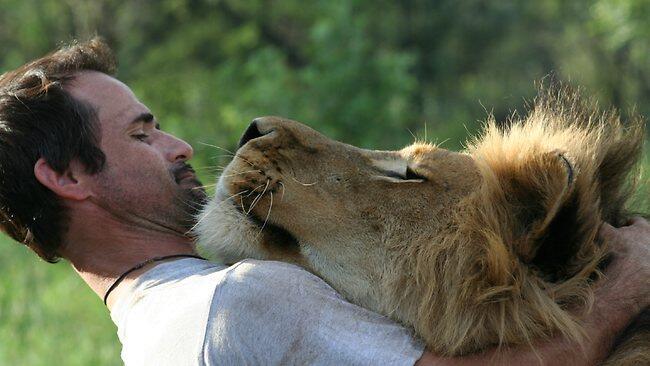 Kevin Richardson - Sang Penakluk Singa Buas - PIC