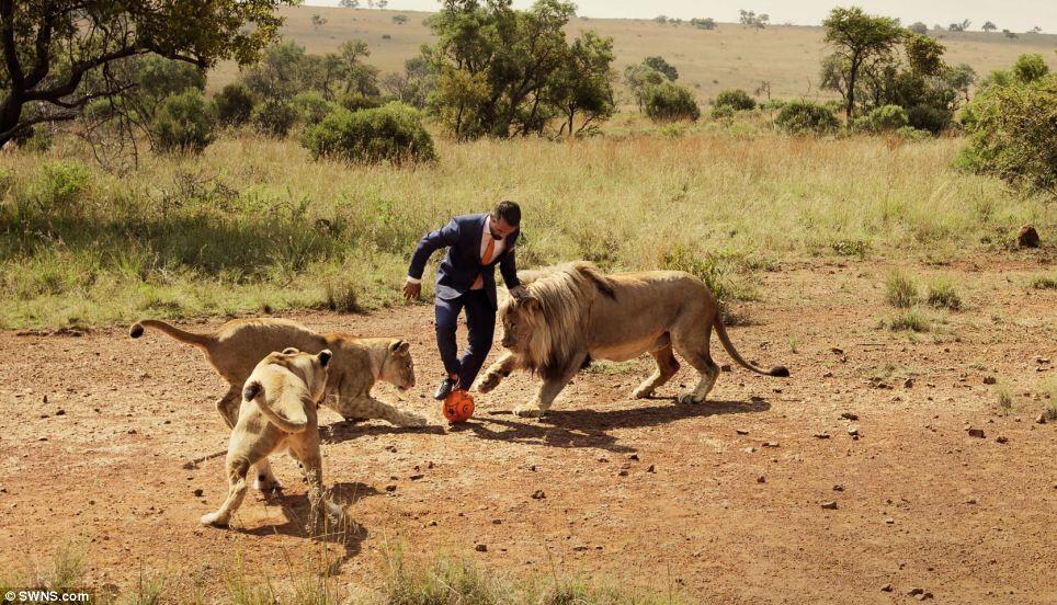 Kevin Richardson - Sang Penakluk Singa Buas - PIC