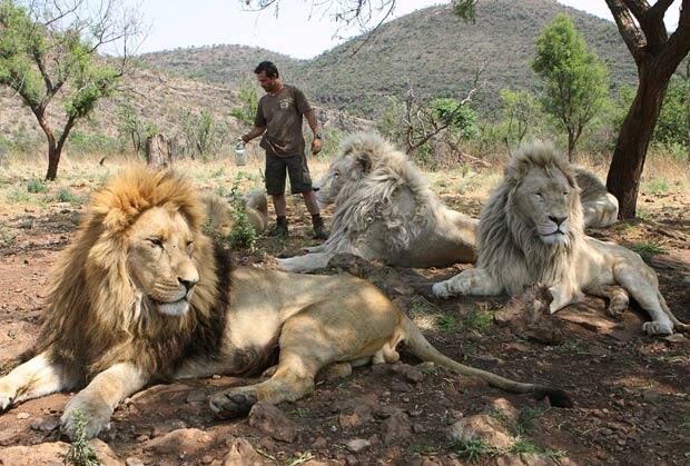 Kevin Richardson - Sang Penakluk Singa Buas - PIC