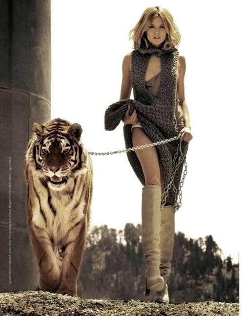 Kevin Richardson - Sang Penakluk Singa Buas - PIC