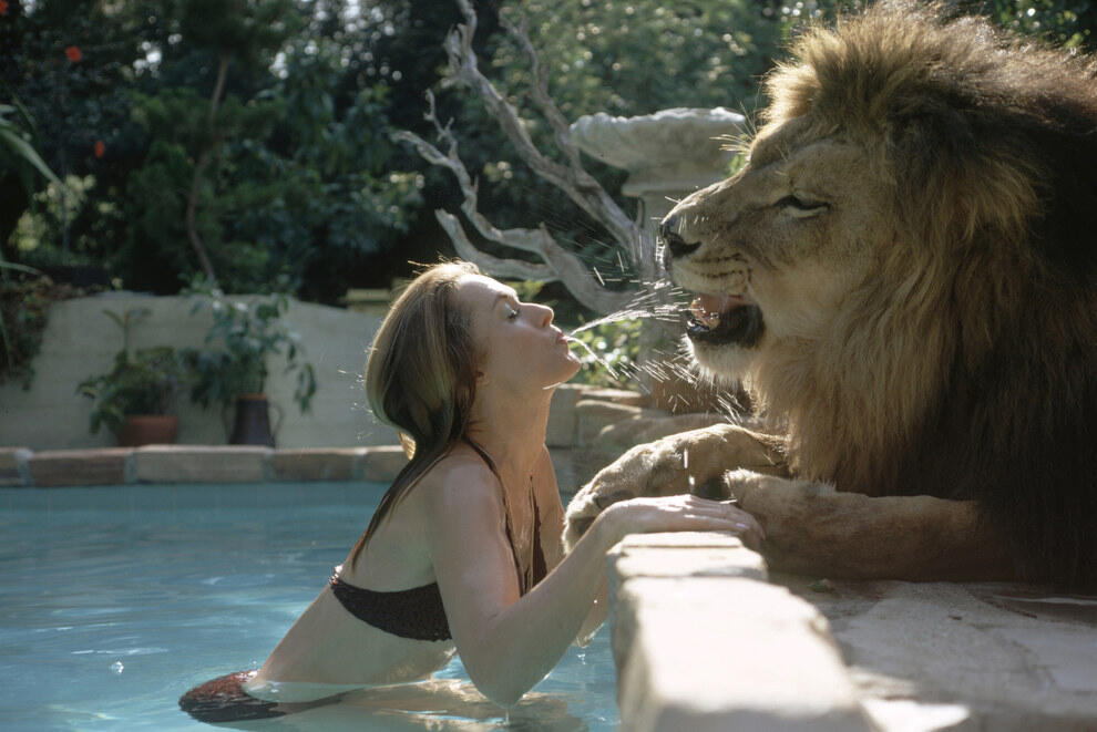 Kevin Richardson - Sang Penakluk Singa Buas - PIC