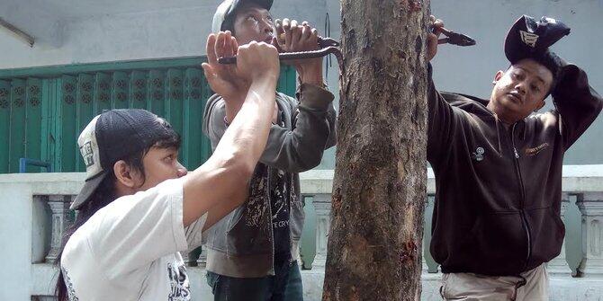&#91;KOMBAT NATURE&#93; Anak Punk Kediri Cabut Paku di Pohon &amp; Bagikan Bibit Pohon Sengon