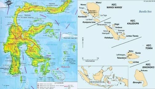 Wakatobi, Surga nyata di Bawah laut yang harus Agan Kunjungi