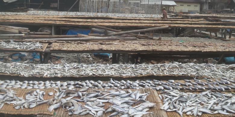 Nelayan di Muara Angke Jual Ikan Tawar dari Luar Jakarta