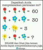Olahraga otak dlu