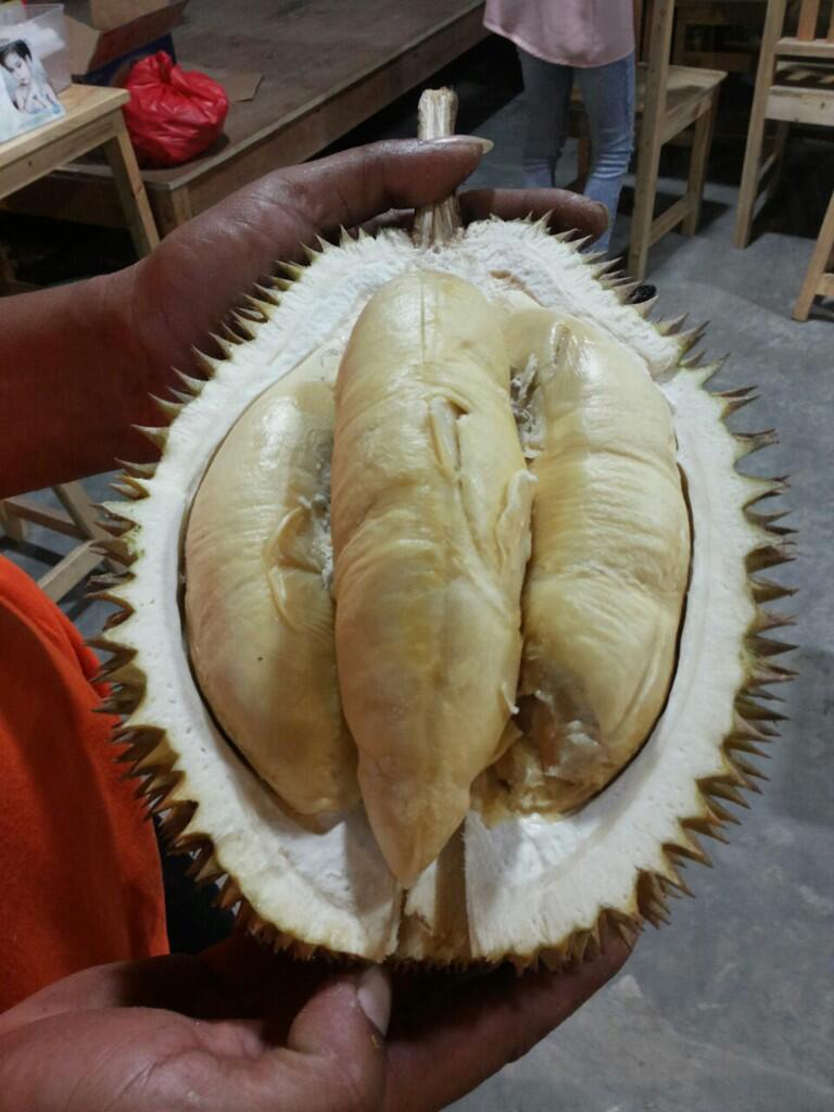 PUSAT KULINER DAN PENIKMAT DUREN DARI SELURUH WILAYAH INDONESIA