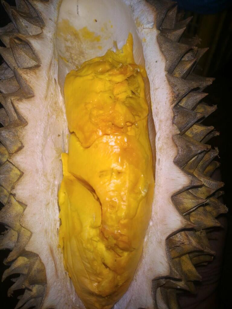 PUSAT KULINER DAN PENIKMAT DUREN DARI SELURUH WILAYAH INDONESIA
