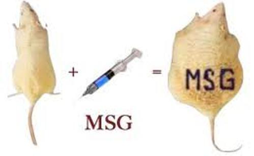 MSG (Monosodium Glutamate) atau Vetsin/Micin , Amankah?