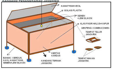 #&#91;PERJAKA&#93;# PERKUMPULAN JANGKRIK KASKUS