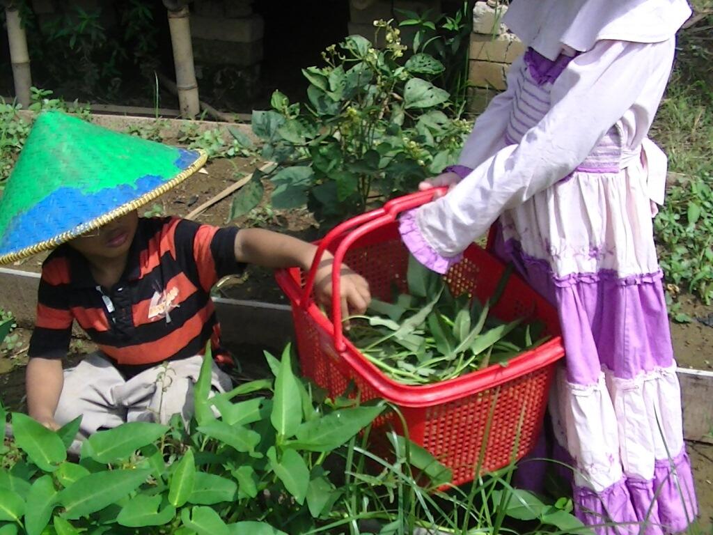 &#91;KOMBAT NATURE&#93; Mari Melihat Para Pecinta Alam dari Sekolah Alam Purwakarta