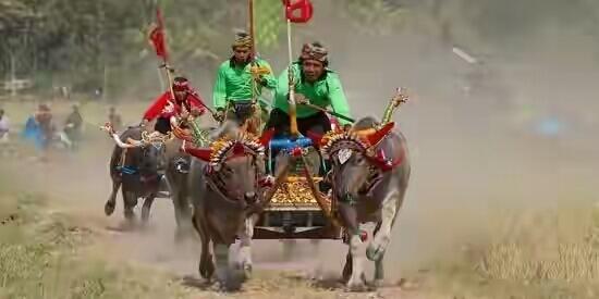 Kenali 10 Budaya Unik yang Hanya Ada di Indonesia