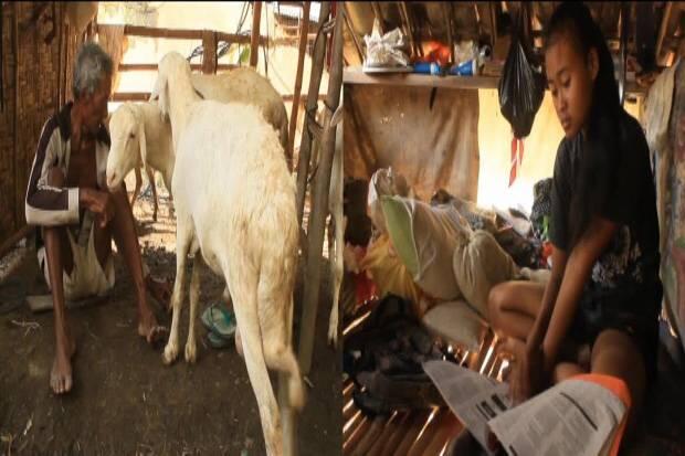 Menyedihkan, Bapak dan Putrinya Ini Tinggal di Kandang Kambing(bantu UP!)