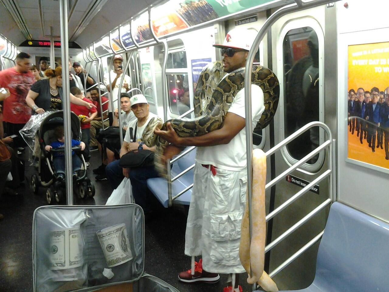 Ada yang Bawa Ular di KA, Penumpang Sampai Jerit-jerit