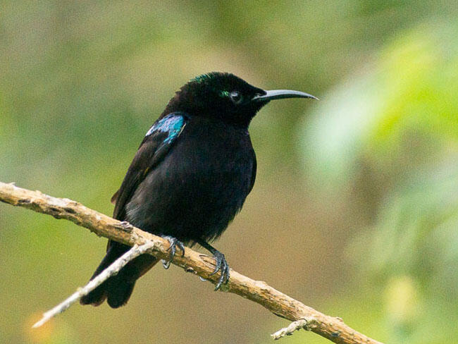 Seberapa Kenalkah Agan Dengan Diri Agan Sendiri ???